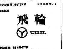 飛輪及圖 WHEEL