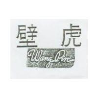 壁虎 WANG PIN
