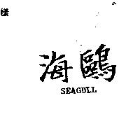 海鷗 SEAGULL