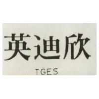 英迪欣 TGES