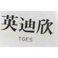 英迪欣 TGES