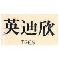 英迪欣 TGES