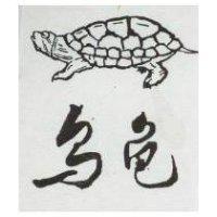 烏龜及圖