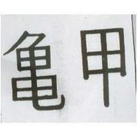 龜甲
