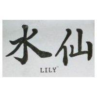 水仙 LILY