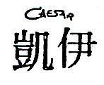 凱伊 CAESAR