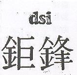鉅鋒 DSI