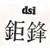 鉅鋒 DSI