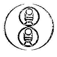 圓圓及圖