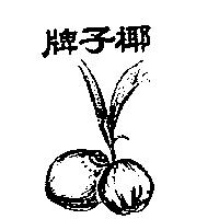 椰子牌及圖