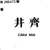 井齊 CARA MIA