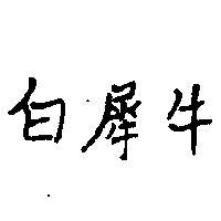 白犀牛