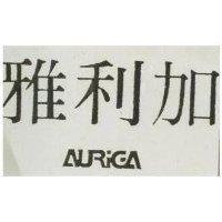 雅利加 AURIGA