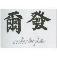 爾發 MINIPIE