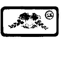 江及圖