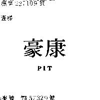 康豪 PIT