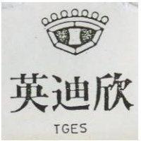 英迪欣 TGES 及圖