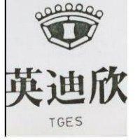 英迪欣 TGES 及圖