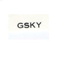 GSKY