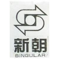 新朝 SINGULAR 及圖