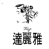 達麗雅及圖 TALIYA
