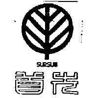 首先及圖 SURSUN