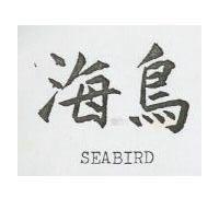 海鳥 SEABIRD