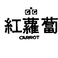 紅蘿蔔及圖 CARROT