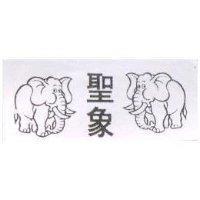 聖象及圖