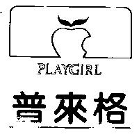 普來格及圖 PLAYGIRL