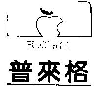 普來格及圖 PLAYGIRL TM