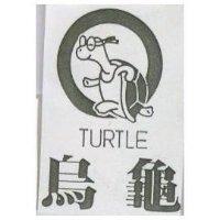 烏龜 TURTLE 及圖