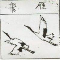 飛雁及圖