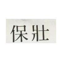 保壯