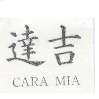 達吉 CARA MIA