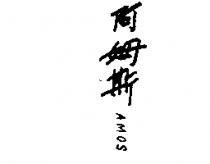 阿姆斯 AMOS 