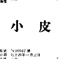 小皮