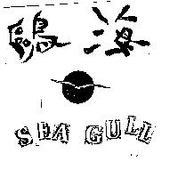 海鷗 SEA GULL 及圖 