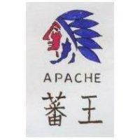 蕃王及圖 APACHE
