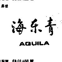 海東青 AQUILA