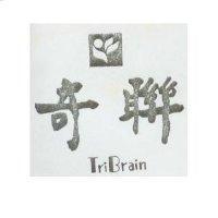 奇聯及圖 TRIBRAIN
