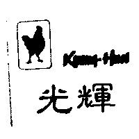 光輝 KUANG – HUEI 及圖