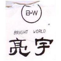 亮宇 BRIGHT WORLD 及圖