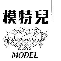 模特兒及圖 MODEL