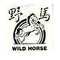 野馬及圖 WILD HORSE