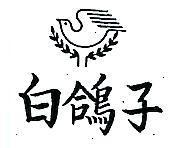 白鴿子