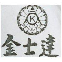 金士達及圖 KINGSTAR