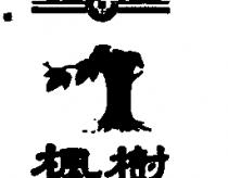 楓樹及圖