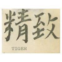 精致 TIGER