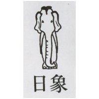 日象及圖